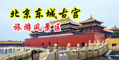 特级打炮中国北京-东城古宫旅游风景区